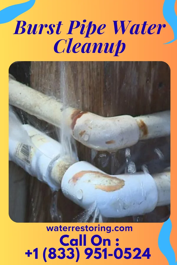 Burst Pipe Water Cleanup in Ringgold, MD