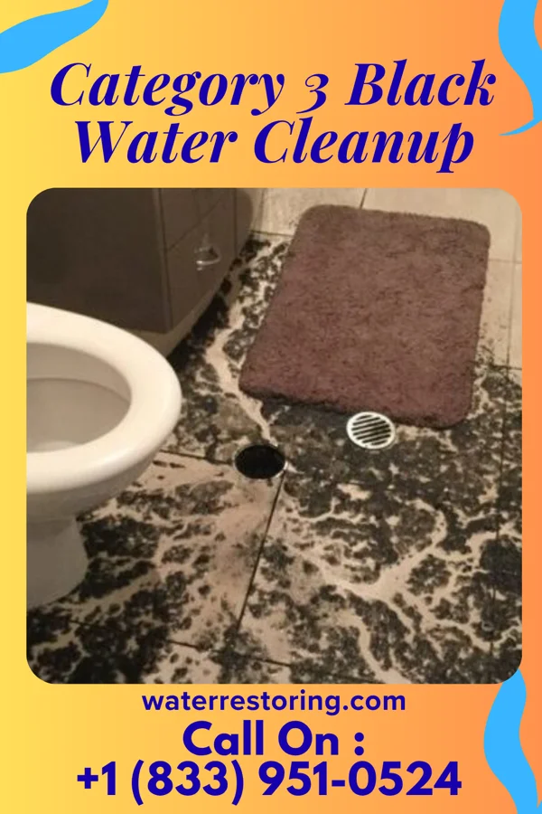 Category 3 Black Water Cleanup in Ringgold, MD