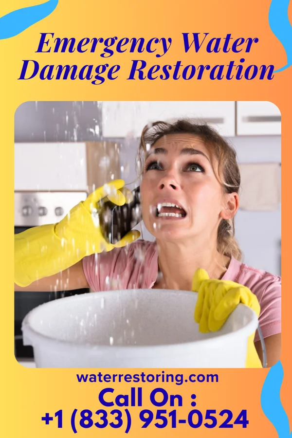 Emergency Water Damage Restoration in Ringgold, MD