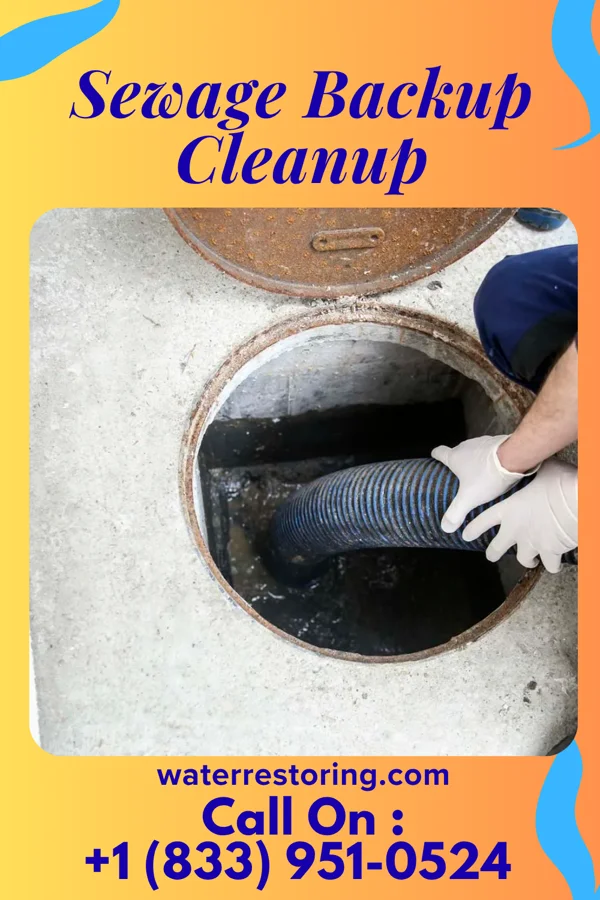Sewage Backup Cleanup in Ringgold, MD