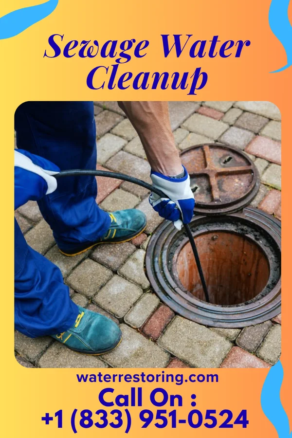 Sewage Water Cleanup in Ringgold, MD